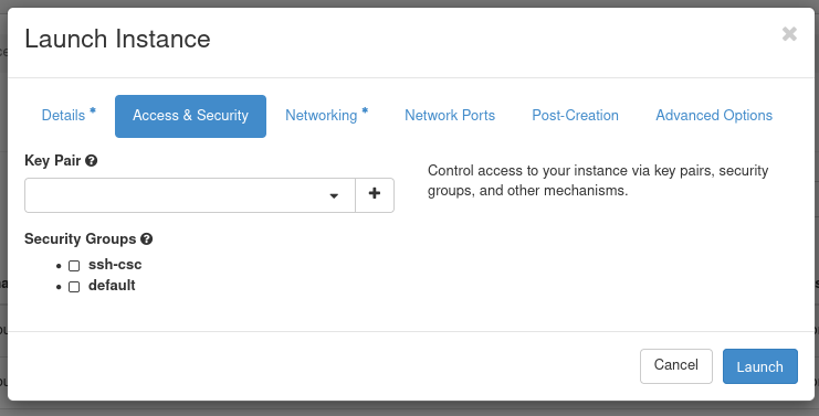 Launch the instance access view