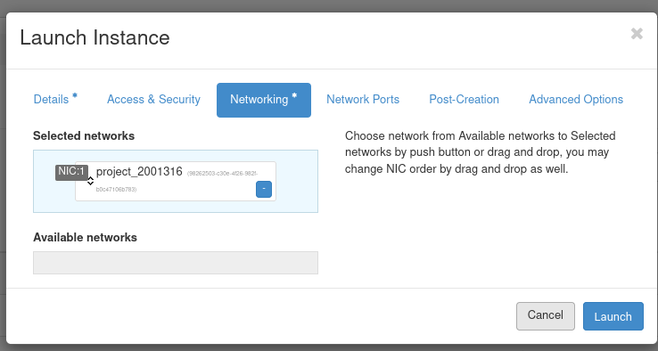 Launch the instance network view