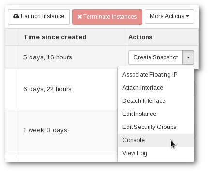 Open a console in the web GUI