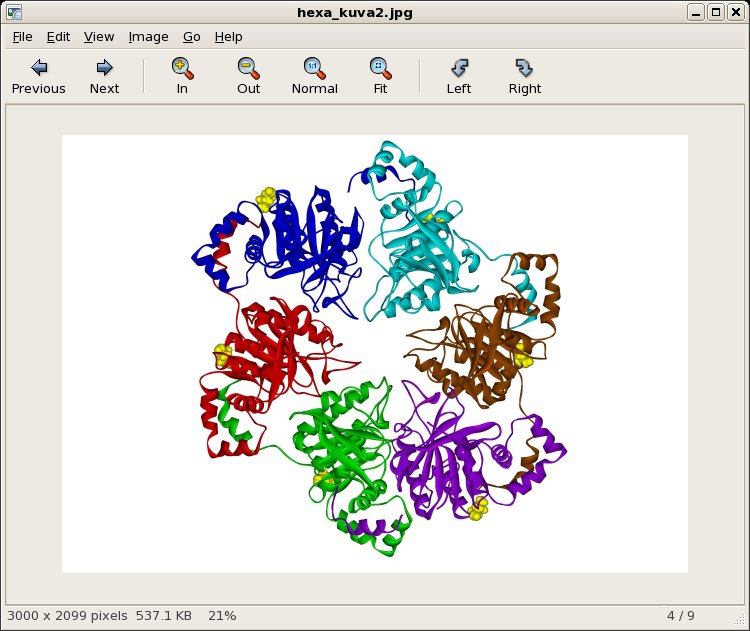 Eog image viewing program